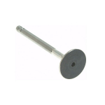 2GSE21110000